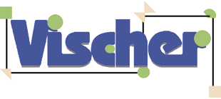 Logo von Vischer, Achim
