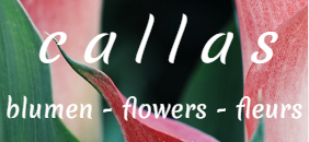 Logo von Callas der Blumenladen Inh. Martina Schmidt-Albrecht
