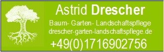 Logo von Drescher Astrid