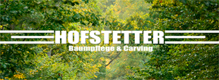 Logo von Hofstetter Baumpflege & Carving