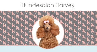 Logo von Hundesalon Harvey Pforzheim