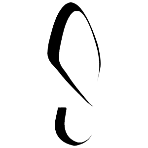 Logo von Schuh Wolf