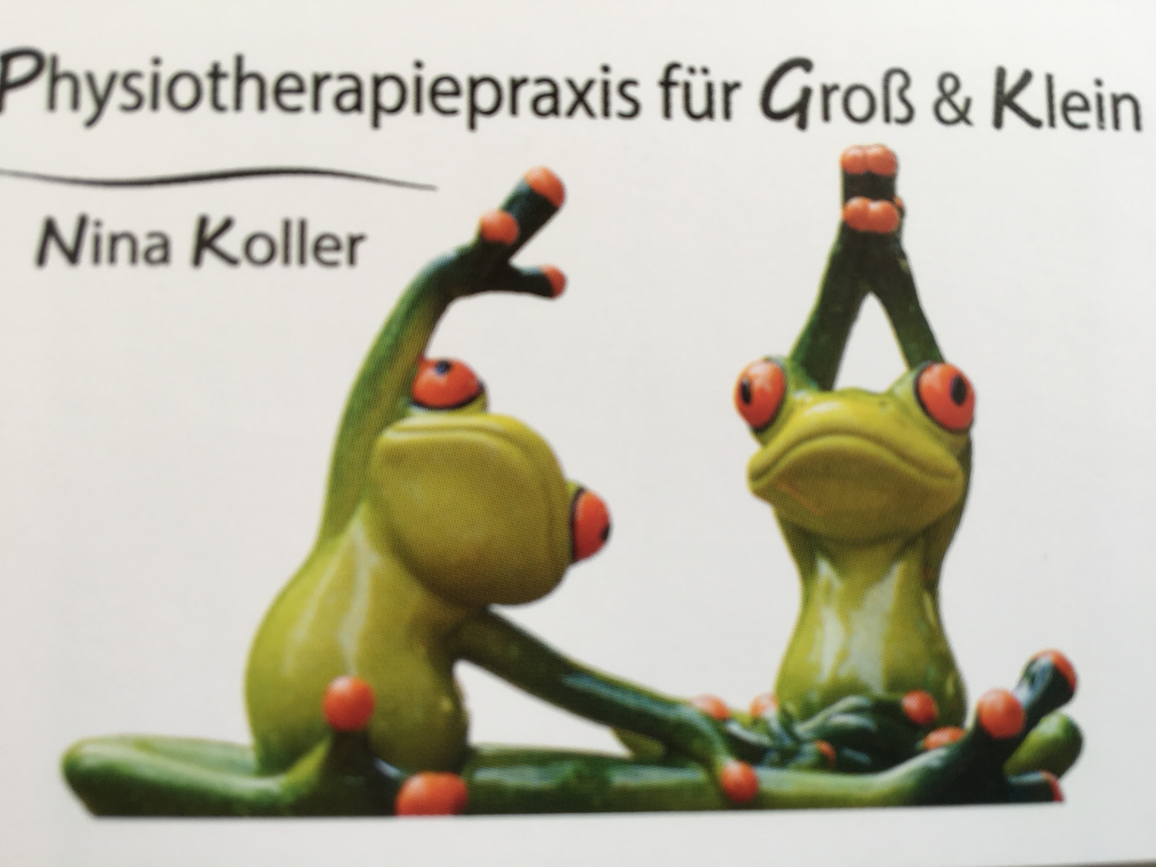 Logo von Physiotherapiepraxis für Groß&Klein Nina Koller