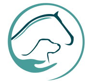 Logo von Dr. Stefanie Schmidt