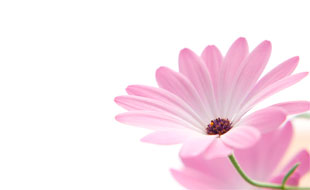 Logo von Fotostudio Enghauser