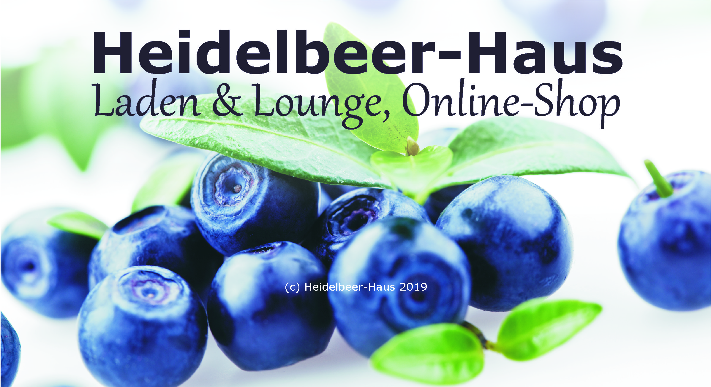 Logo von Heidelbeer-Haus