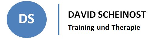 Logo von David Scheinost - Training und Therapie