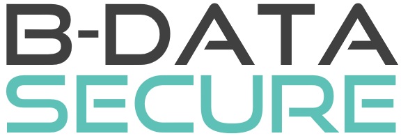 Logo von B-DATA SECURE UG - Datenschutzbeauftragter Leipzig