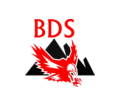 Logo von BDS Detektei