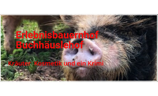 Logo von Schwarzwälder Kräuter Manufaktur- Hofladen und Erlebnisbauernhof