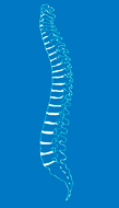 Logo von Praxis für Orthopädie und Unfallchirurgie