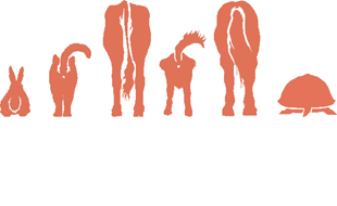 Logo von Tierarztpraxis - Dr. Anke Brodauf