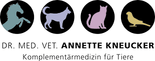 Logo von Kneucker Annette