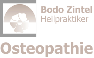 Logo von Zintel Bodo