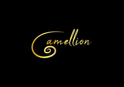 Logo von Autofolierung-Camellion