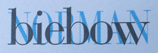Logo von Biebow Norman Dr. med.