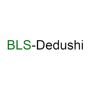 Logo von BLS-Dedushi