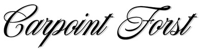 Logo von Carpoint Forst / Bruchsal - Gebrauchtwagen Autohändler