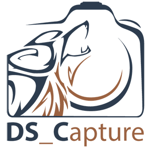Logo von DSCapture