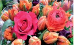 Logo von Blumen-Bender Inh. Ute Bender Blumenfachgeschäft