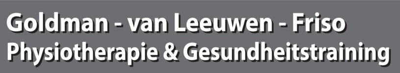 Logo von Goldman, van Leeuwen & Friso
