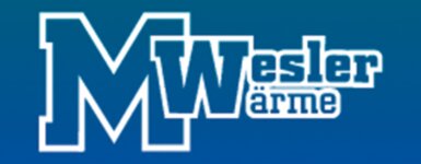 Logo von Wesler Michael