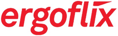 Logo von ergoflix Group GmbH