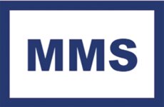 Logo von Staub Marius Meik