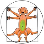 Logo von Görlitz Susanne