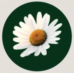 Logo von Sett Sandra