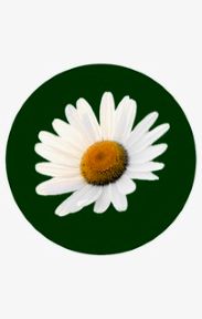 Logo von Heilpraktikerin für Psychotherapie Sandra Sett