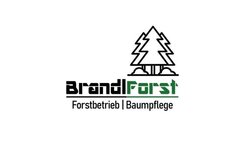 Logo von Brandl Forst