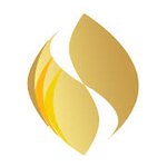 Logo von Dittlmann & Partner Inter Change Concept