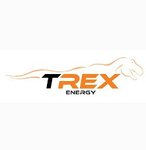 Logo von T-Rexenergy Inh. Michael Buscholl