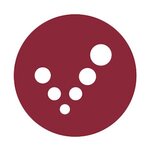 Logo von Aschenbrenner Nicolas GEVAS Straubing