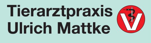 Logo von Mattke Ulrich
