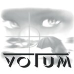 Logo von VOTUM Wirtschaftsdetektei