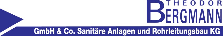 Logo von Theodor Bergmann GmbH & Co. Sanitäre Anlagen und Rohrleitungsbau KG