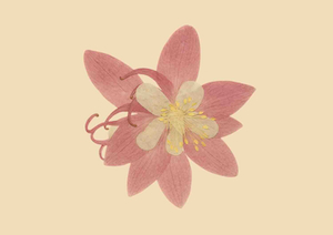 Logo von Anahata Studio