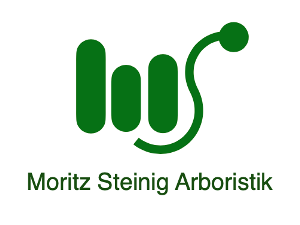 Logo von Moritz Steinig Arboristik - Gutachten und Beratung