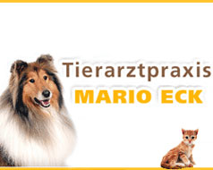 Logo von Eck Mario