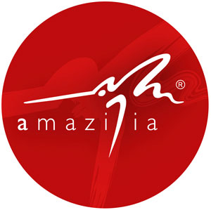 Logo von Amazilia Werbewerkstatt