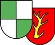 Logo von TuS Grün-Weiß Himmelsthür e. V.