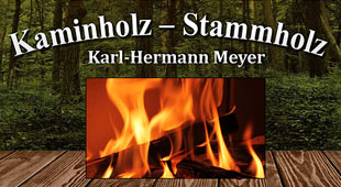 Logo von Meyer Kaminholz Stammholz