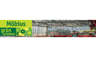 Logo von Blumen Möbius GmbH