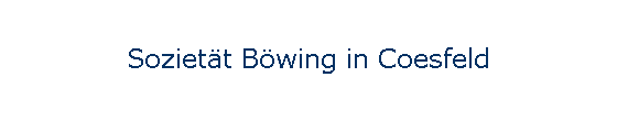 Logo von Böwing Sozietät Ulrich und Thomas Böwing