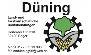 Logo von Düning Fabian