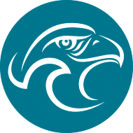 Logo von EAGLE KITE