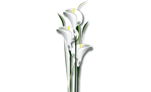 Logo von Weinhold-Küster Iris Trauerrednerin