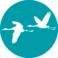 Logo von Klassische Chinesische Medizin & Integrative Naturheilverfahren - Dr. med. Jens Meyer